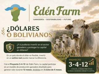 Venta de Proyecto 3-4-12 en Santa Cruz de la Sierra - El Rey del Ganado